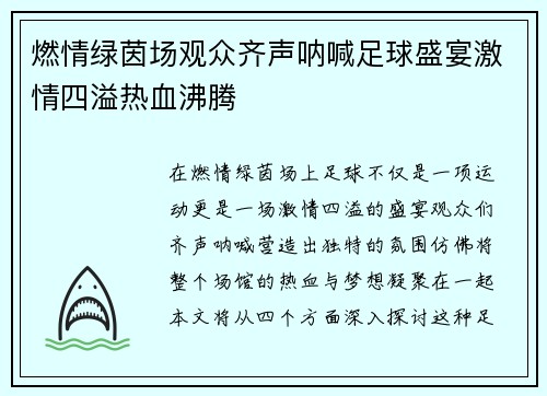 燃情绿茵场观众齐声呐喊足球盛宴激情四溢热血沸腾