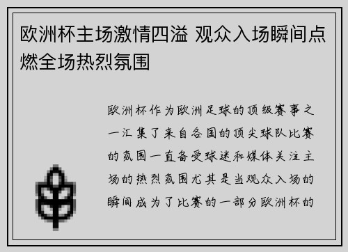 欧洲杯主场激情四溢 观众入场瞬间点燃全场热烈氛围