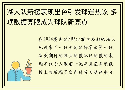 湖人队新援表现出色引发球迷热议 多项数据亮眼成为球队新亮点