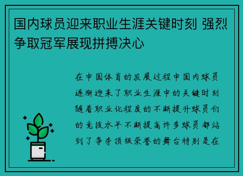 国内球员迎来职业生涯关键时刻 强烈争取冠军展现拼搏决心