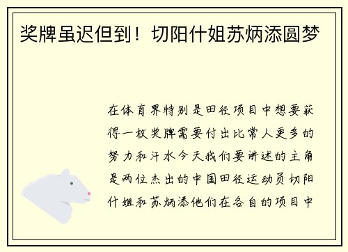 奖牌虽迟但到！切阳什姐苏炳添圆梦