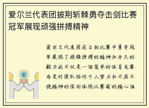 爱尔兰代表团披荆斩棘勇夺击剑比赛冠军展现顽强拼搏精神